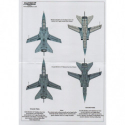 Panavia Tornado F.3 escadron 56(F) RAF Collection