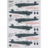 Avro Shackleton Nose Art AEW.2s Pt.3