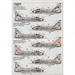 EE/BAC Lightning T.4/T.5 Pt.1