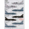 EE/BAC Lightning T.4/T.5