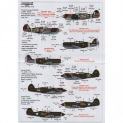 Early Curtiss P-40s Pt.1