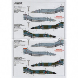 RAF McDonnell Douglas FG.1 & FGR.2 Phantom Pt.4