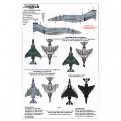 RAF McDonnell Douglas FG.1 & FGR.2 Phantom Pt.4