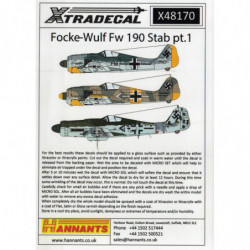 Focke-Wulf Fw 190 Stab Pt.1