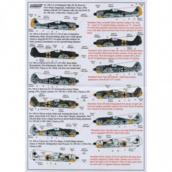 Focke-Wulf Fw 190 Stab Pt.1