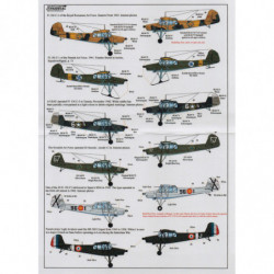Fieseler Fi 156 Storch & MS 500