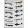 Fieseler Fi 156 Storch & MS 500