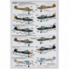 Fieseler Fi 156 Storch & MS 500
