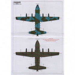 RAF Lockheed C-130 Hercules Walkway Stencils