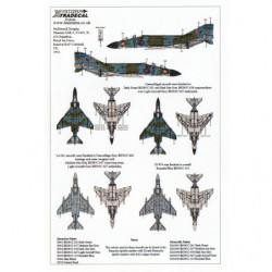 RAF McDonnell Douglas FGR.2 Phantom Pt.6