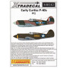 Early Curtiss P-40s Pt.1