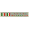 Airbus A319 - Repubblica Italiana (Aeronautica Militare)